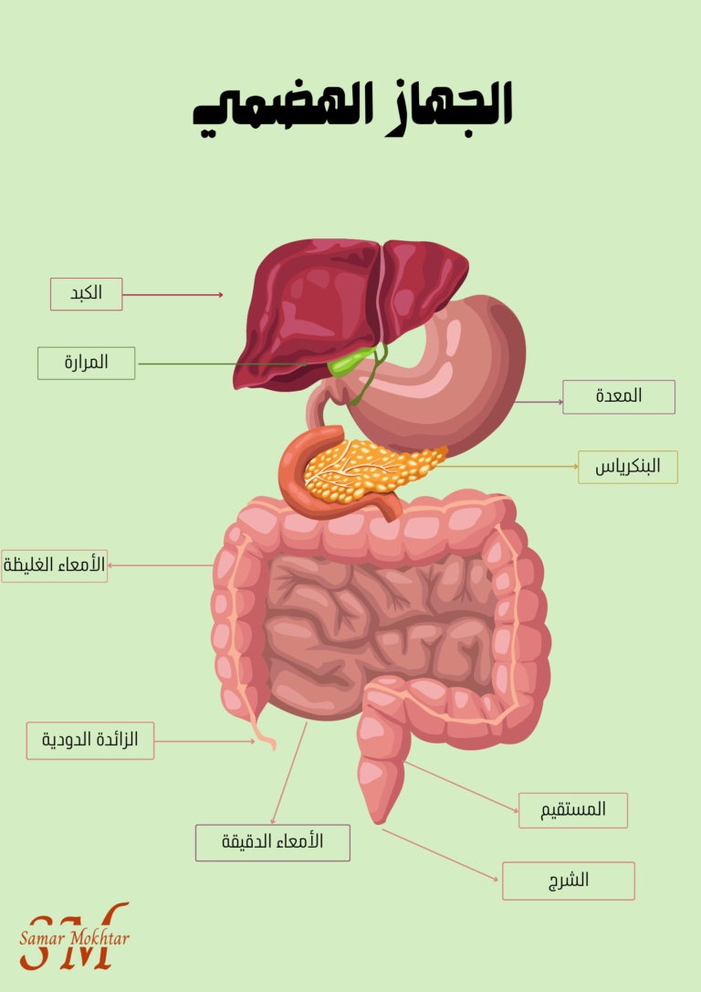 التهاب الزائدة الدودية